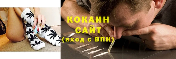 амф Алексин