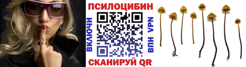 Галлюциногенные грибы GOLDEN TEACHER  Купить  Тында 
